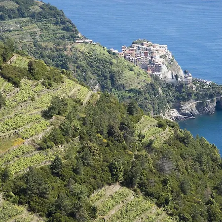 公寓 Mercurio 9 马萨